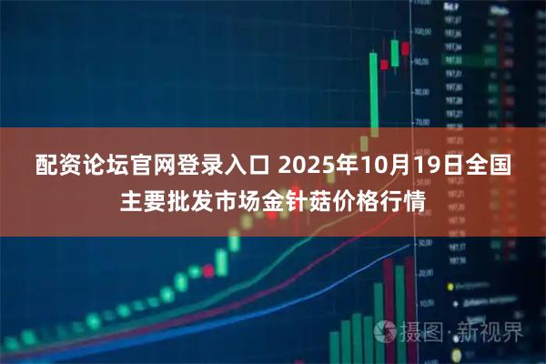 配资论坛官网登录入口 2025年10月19日全国主要批发市场金针菇价格行情