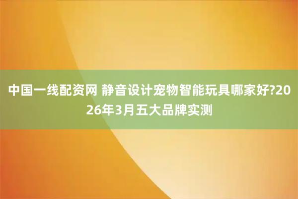 中国一线配资网 静音设计宠物智能玩具哪家好?2026年3月五大品牌实测