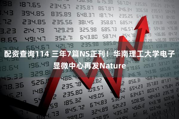 配资查询114 三年7篇NS正刊！华南理工大学电子显微中心再发Nature
